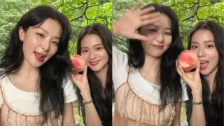 BLACKPINK Jisoo Makes Special Appearance In Red Velvet Seulgi's YouTube Video; Fans Can't Wait For Upcoming Vlog
